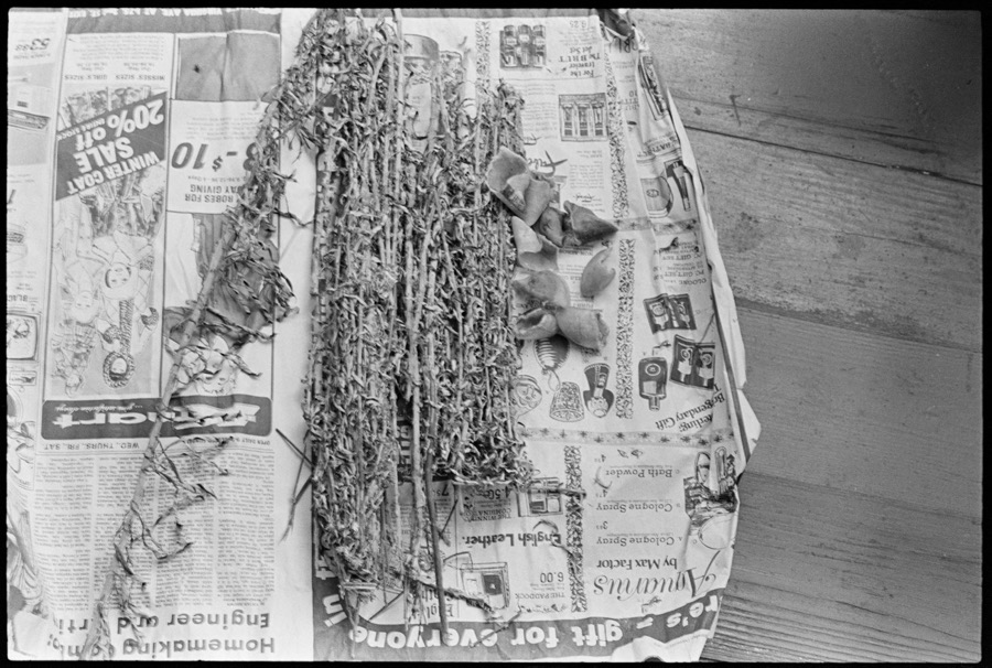 Etta Anderson, Ocilla, Georgia, foodways at home