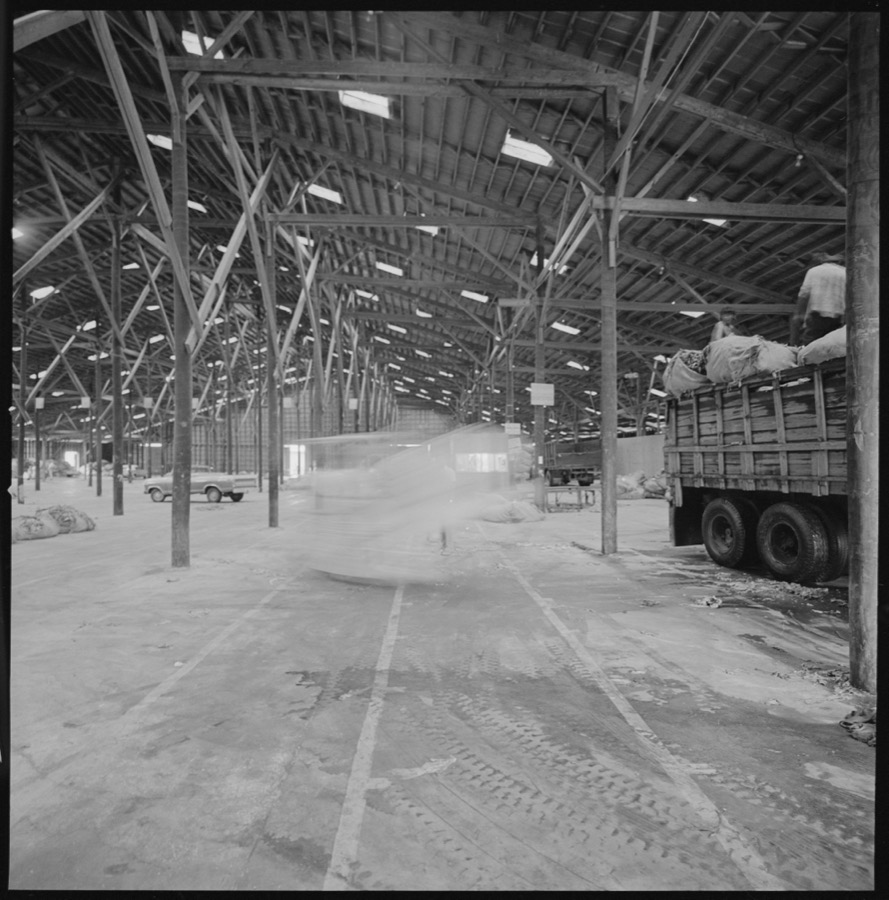 Tobacco warehouse, Moultrie, Georgia