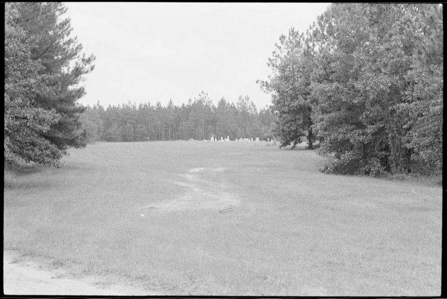 South Georgia cemeteries, Wilcox County and Berrien County, Georgia