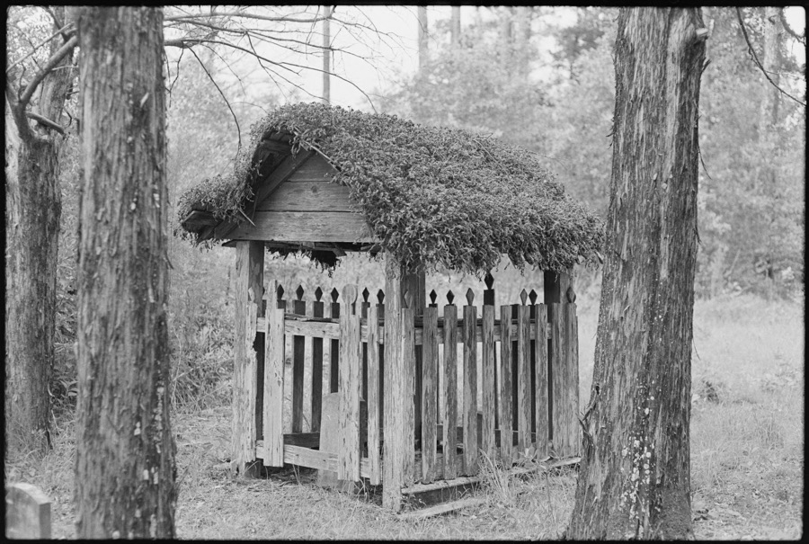South Georgia cemeteries, Wilcox County, Ben Hill County, and Coffee County, Georgia