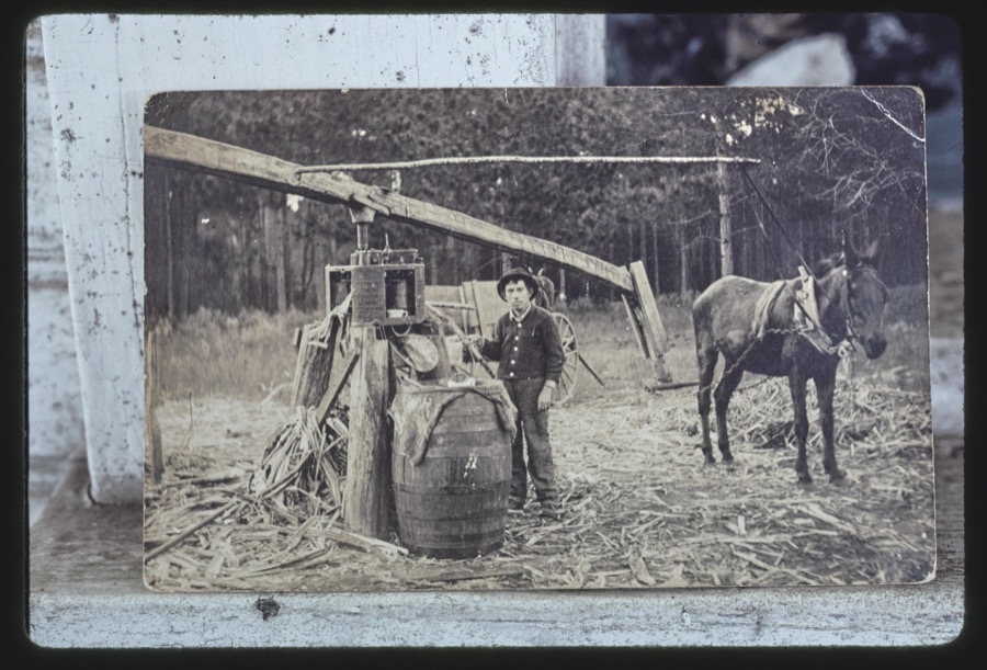 John R. Griffin, Lenox, Georgia, old family photographs, home of Griffin's son