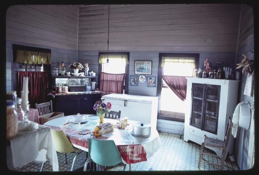R.W. Clements house and family, Turner County, Georgia