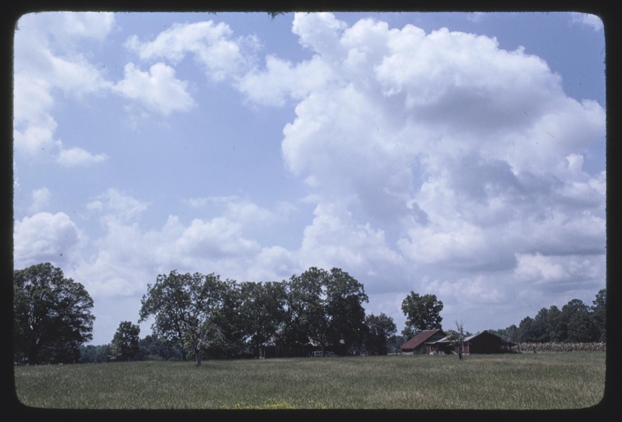 Sutton-Whiddon farm, Tift County, Georgia
