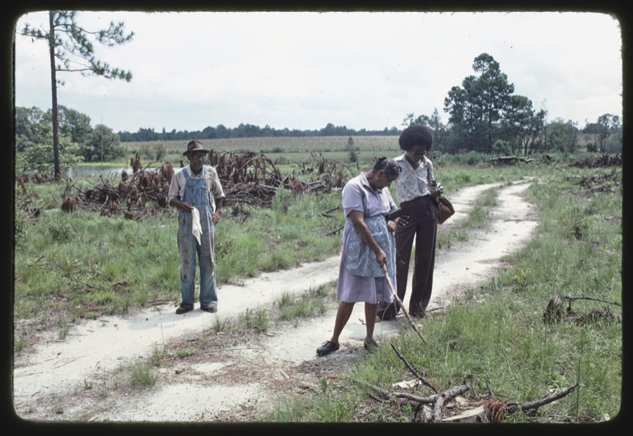 Etta Anderson, Ocilla, Georgia, gathering wild plants