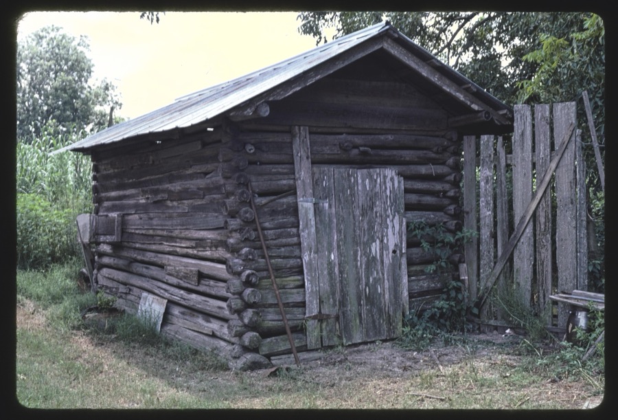 J.L. McMillan farm, Berrien County, Georgia; Harvesting tobacco with the Akins family, Berrien County, Georgia