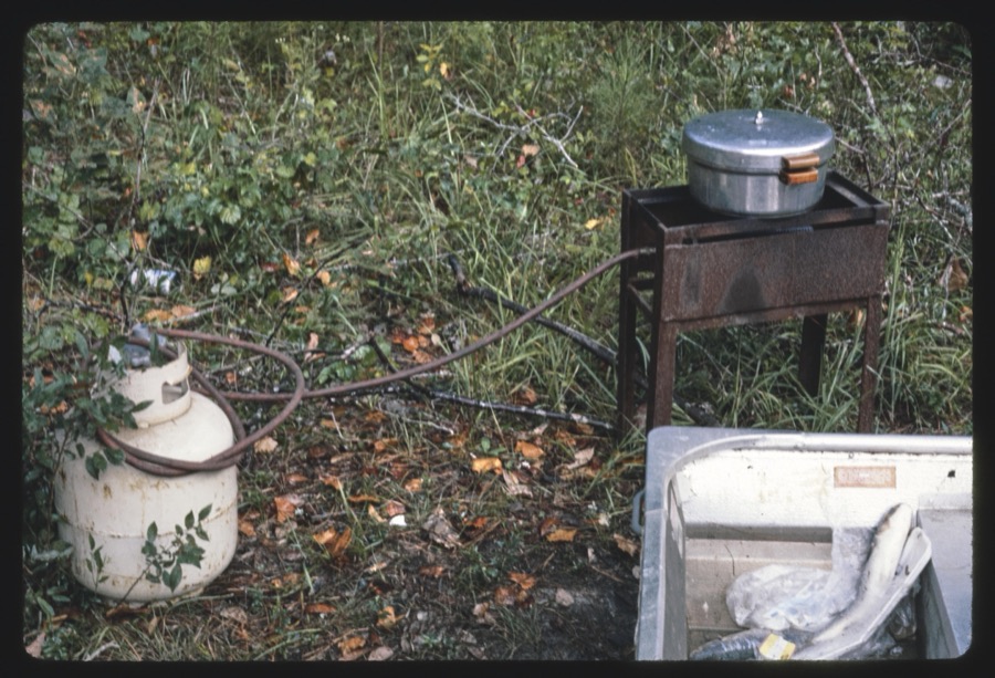 Fishing on the Alapaha River, Ben Hill County, Georgia