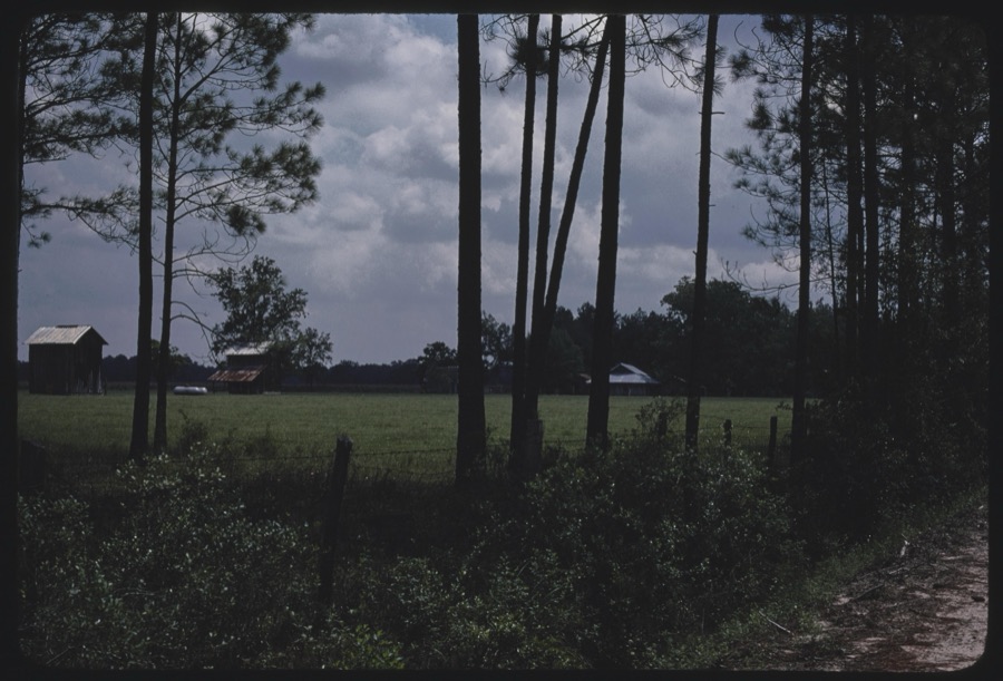 Gaskins farms, Berrien County, Georgia