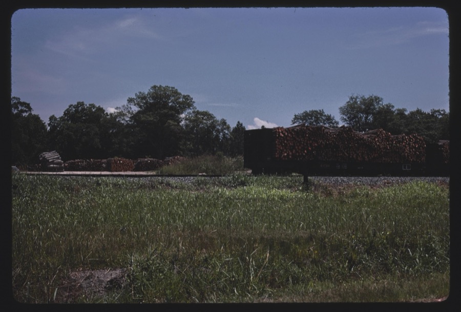Rural scenes, Worth, Tift, Colquitt, and Turner Counties, Georgia