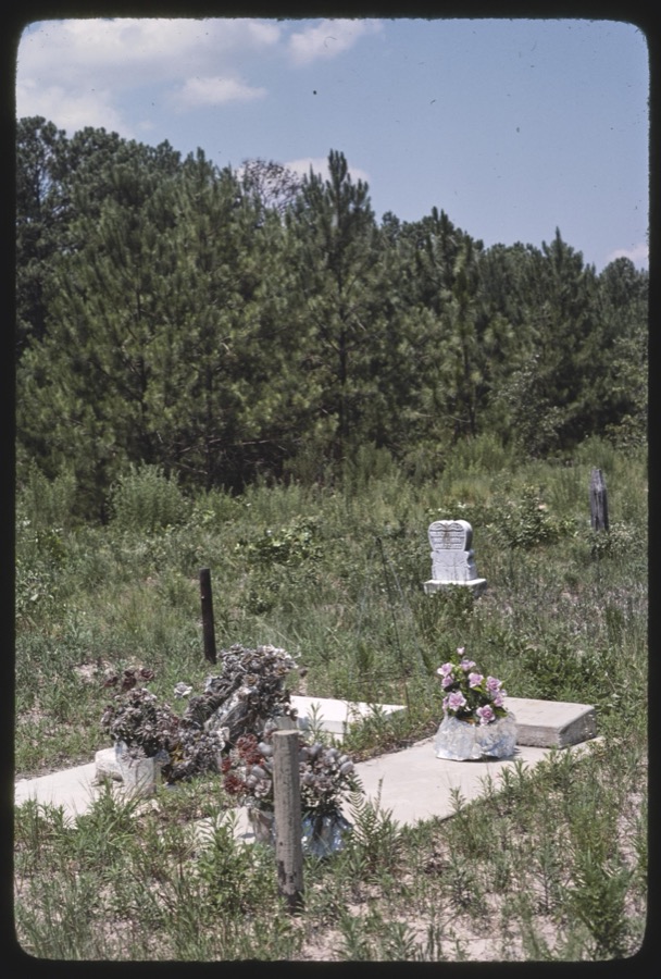West Oak Ridge cemetery, Atkinson County, Georgia