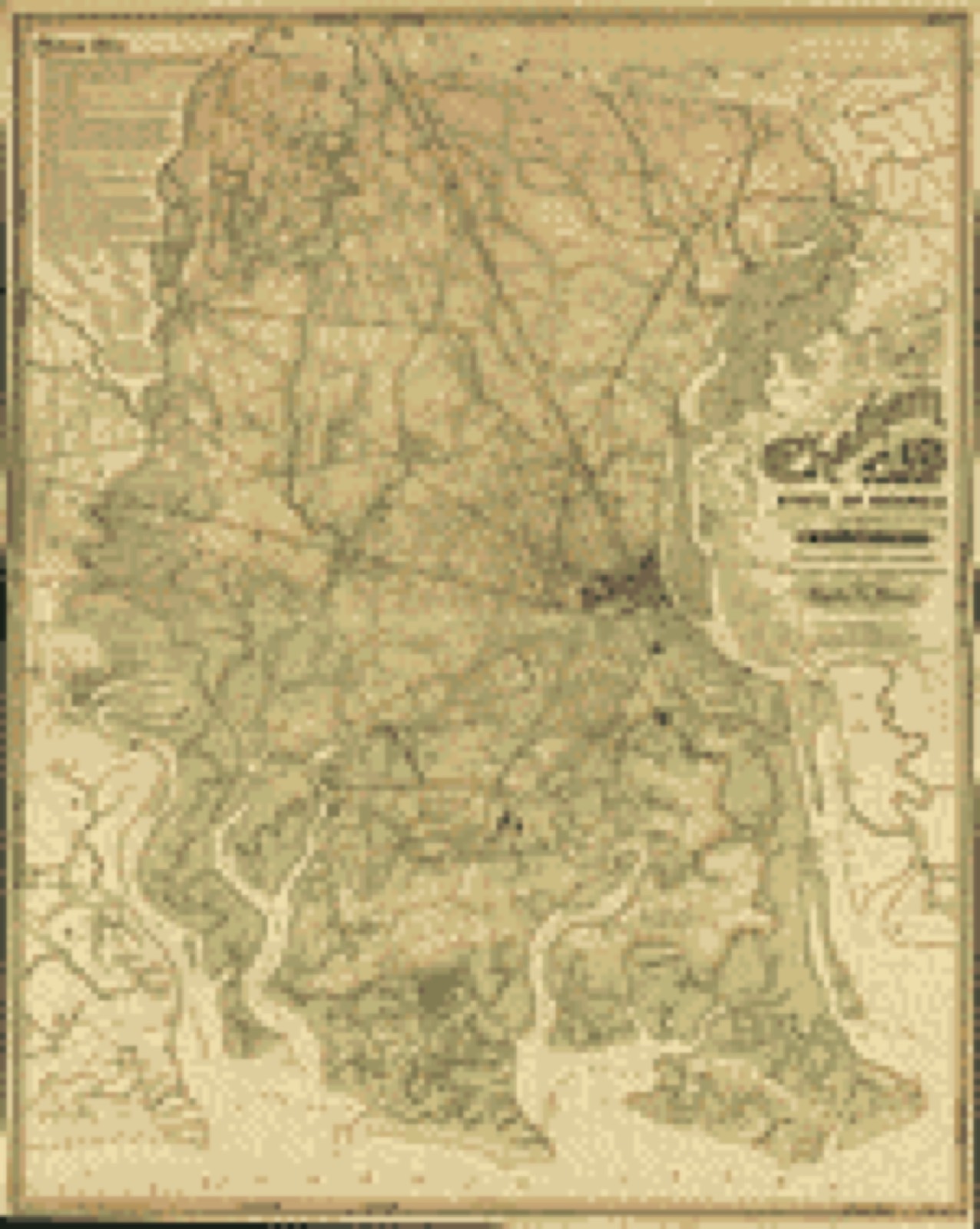 Land ownership map, 1875 - Map of Chatham County, state of Georgia