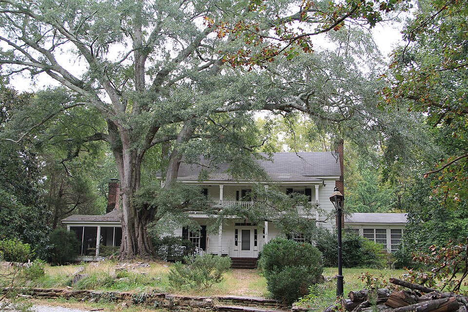 Photograph of Steele-Cobb House