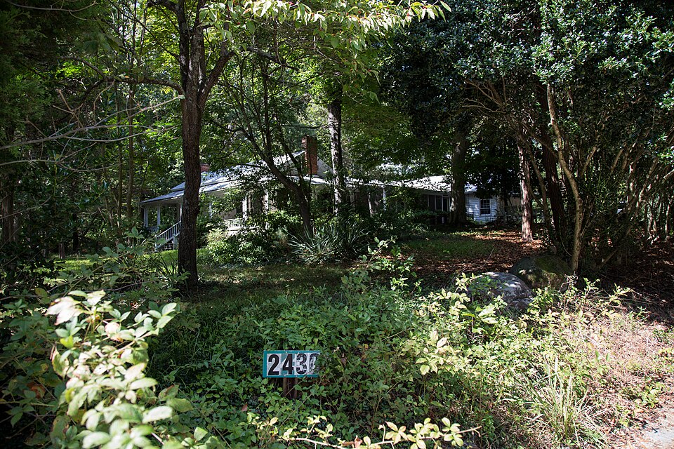 Photograph of Braswell-Carnes House