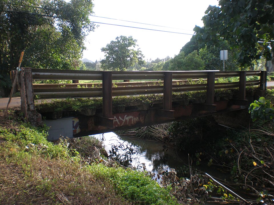 Photograph of Pu'u'opae Bridge