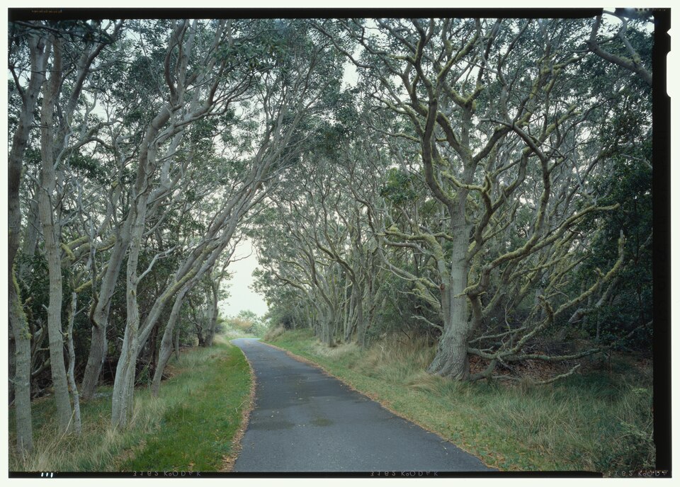 Photograph of Mauna Loa Road