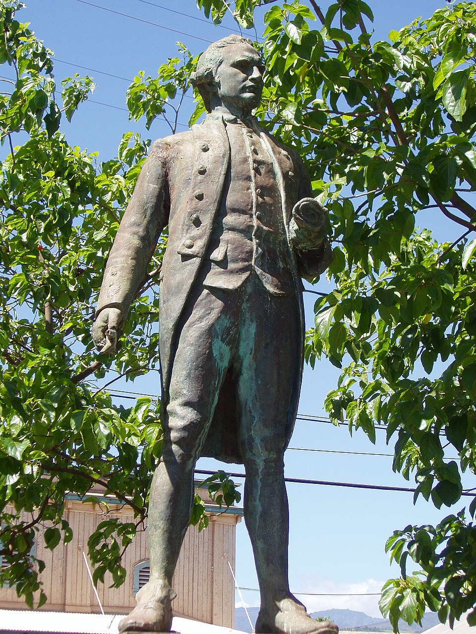 Photograph of Cook Landing Site