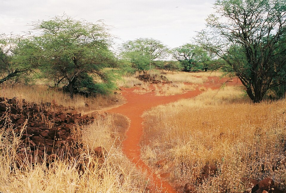 Photograph of Russian Fort Elizabeth