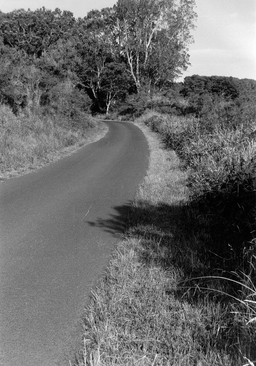 Photograph of ʻĀinapō Trail