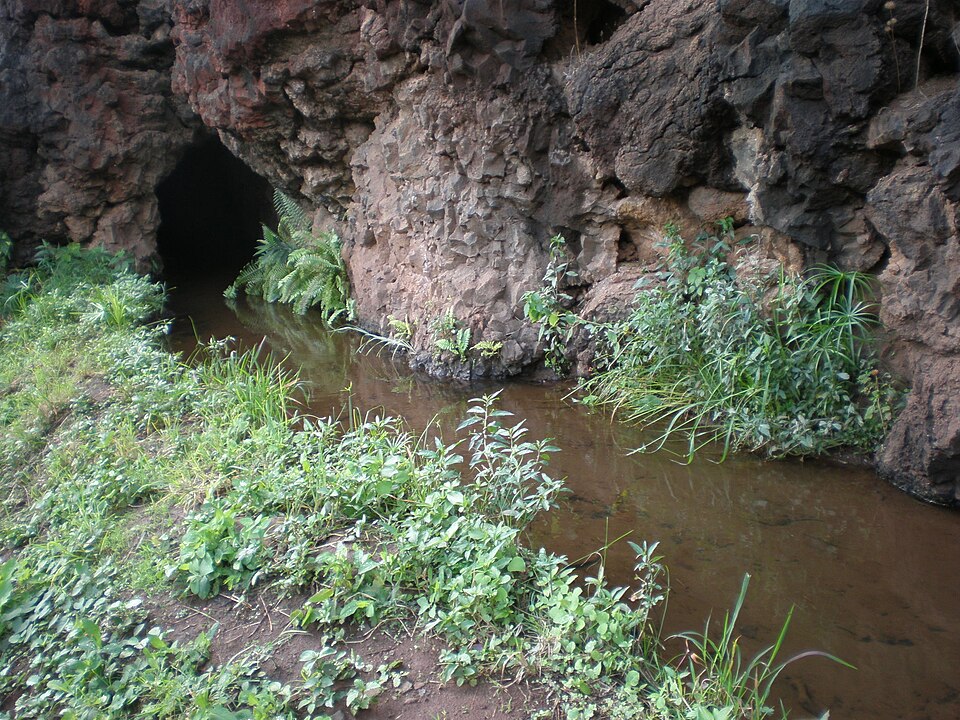 Photograph of Kikiaola