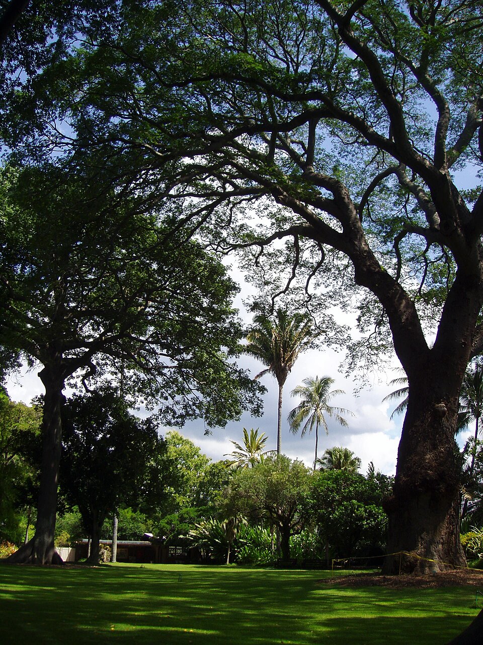 Photograph of Foster Botanical Garden