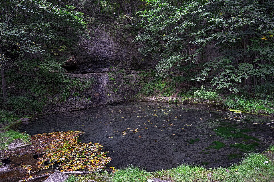 Photograph of Backbone State Park