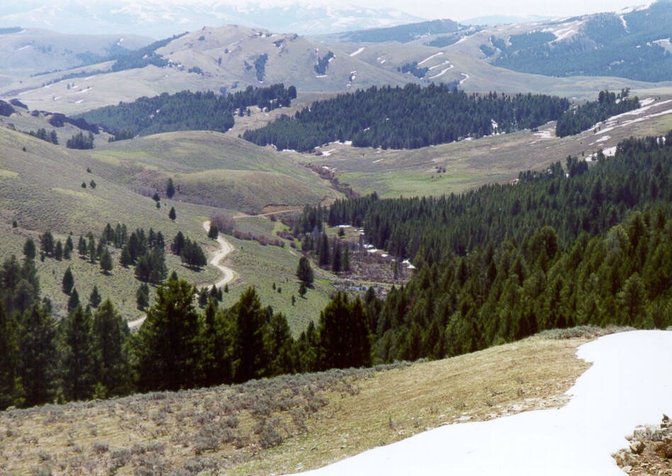 Photograph of Lemhi Pass