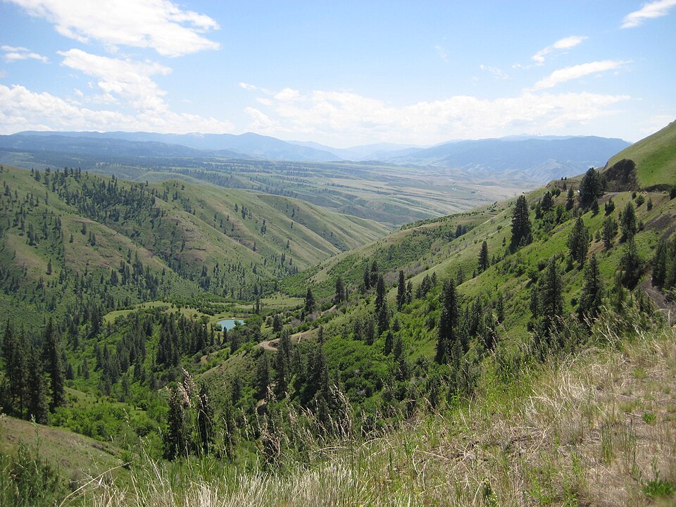 Photograph of White Bird Grade