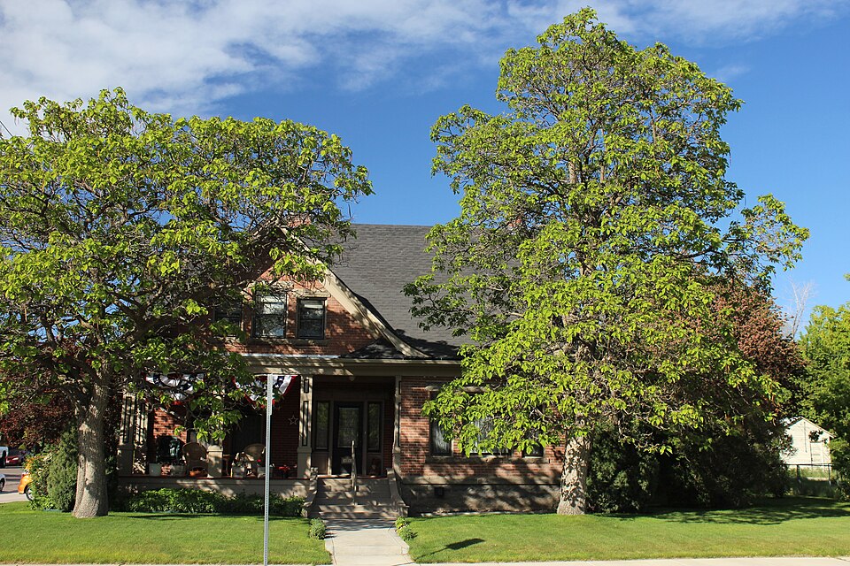 Photograph of Rice-Packard House