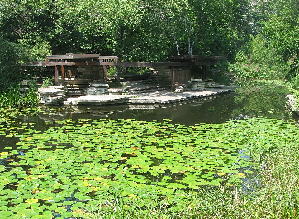Photograph of Alfred Caldwell Lily Pool