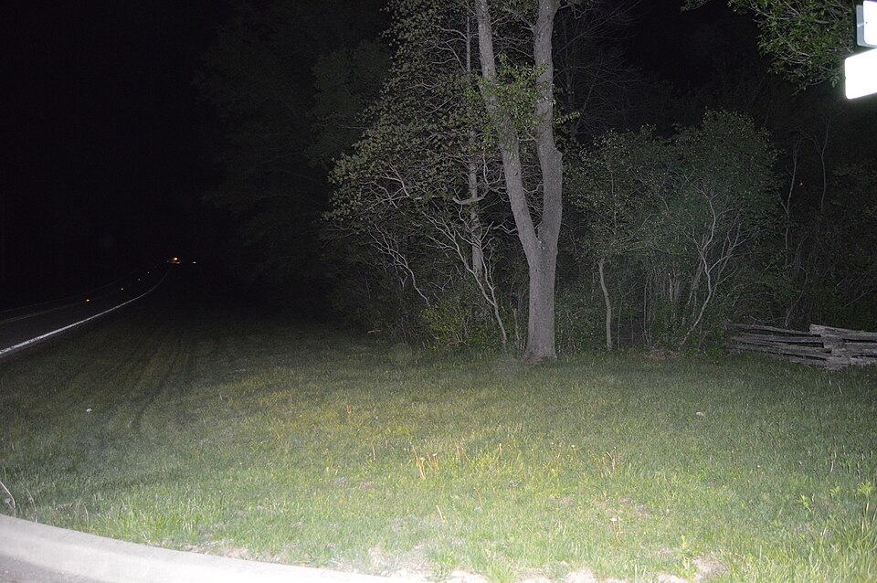 Photograph of Civilian Conservation Corps Camp Shiloh Encampment Site