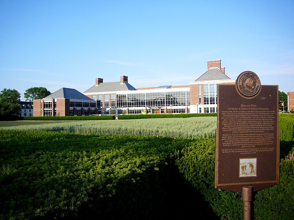 Photograph of Morrow Plots