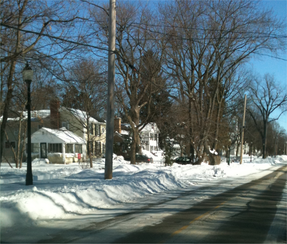 Photograph of Wayne Village Historic District