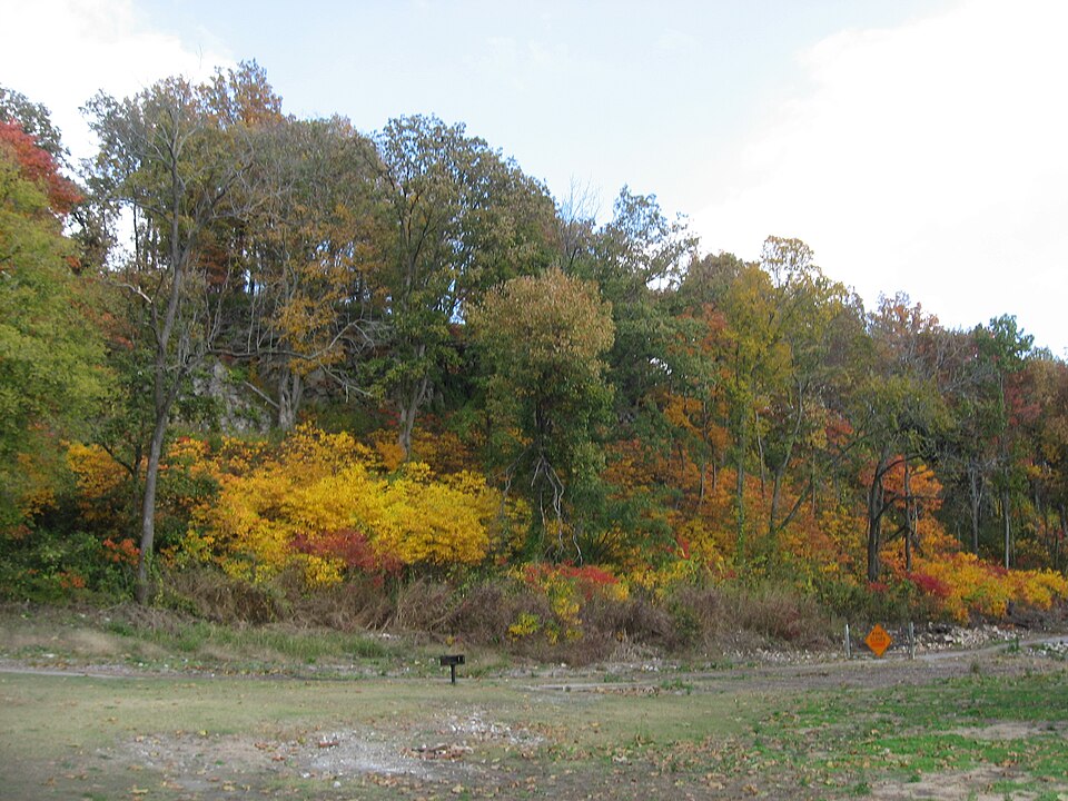 Photograph of Grand Tower Mining, Manufacturing and Transportation Company Site