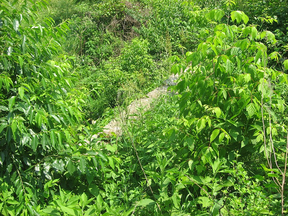Photograph of Wabash and Erie Canal Culvert No. 100
