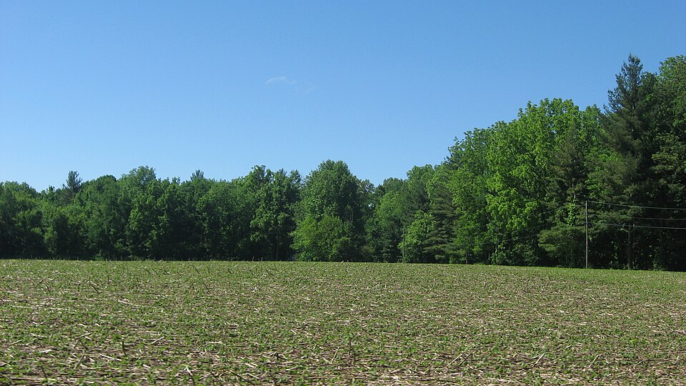 Photograph of Ames Family Homestead