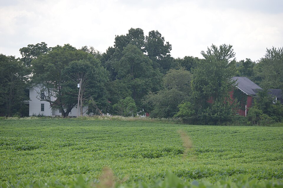 Photograph of Norris Farm-Maxinkuckee Orchard