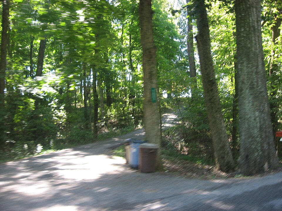 Photograph of Jersey Park Farm