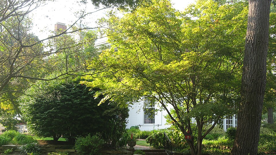 Photograph of Bernardin-Johnson House