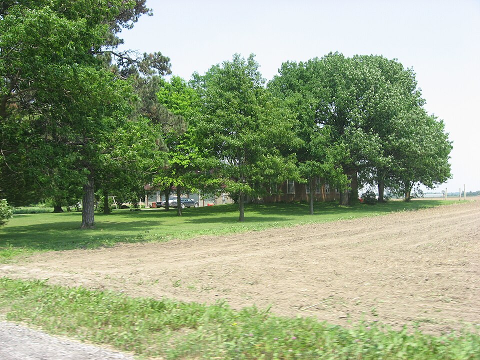 Photograph of John Young House