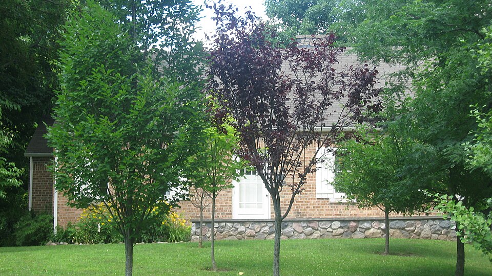 Photograph of Mishawaka Reservoir Caretaker's Residence
