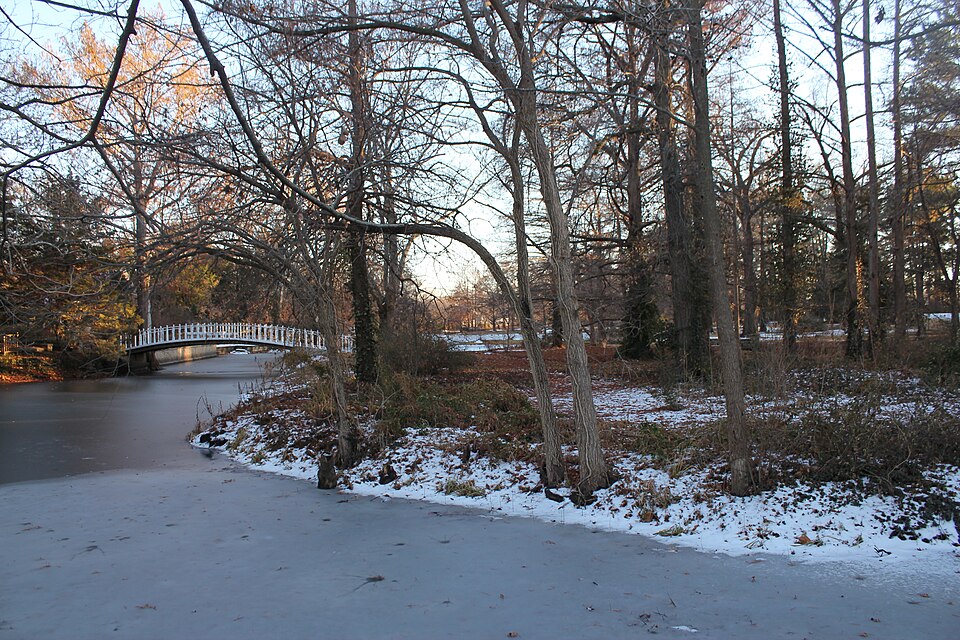 Photograph of Bartlett Arboretum