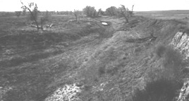 Photograph of Wagon Bed Spring