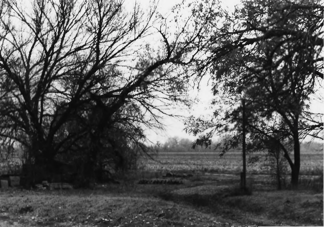 Photograph of Whiteford (Price) Archeological Site