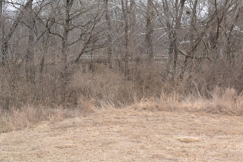 Photograph of Thomas Arch Bridge