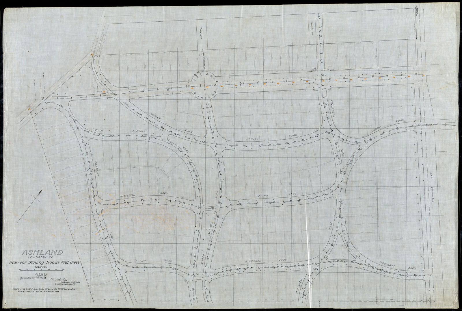 Ashland/ Lexington, KY./ Plan for Staking Roads & Trees[r]/; Scale 50'= 1" [r], Frederick Law Olmsted National Historic Site - undated
