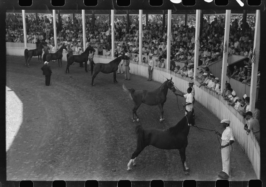 Entries in the Shelby County Horse Show and Fair, Shelbyville, Kentucky