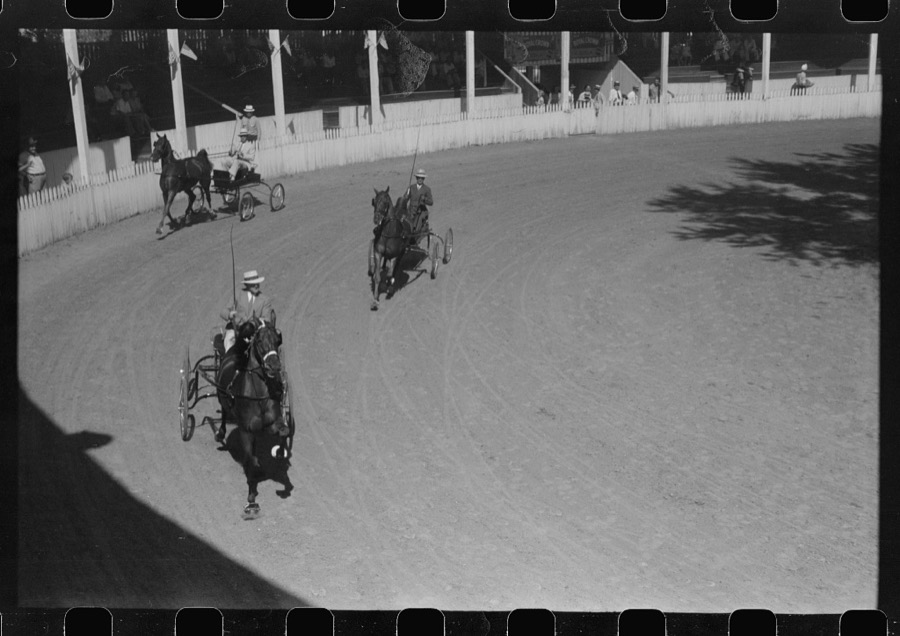 Entries in the Shelby County Horse Show and Fair. Shelbyville, Kentucky