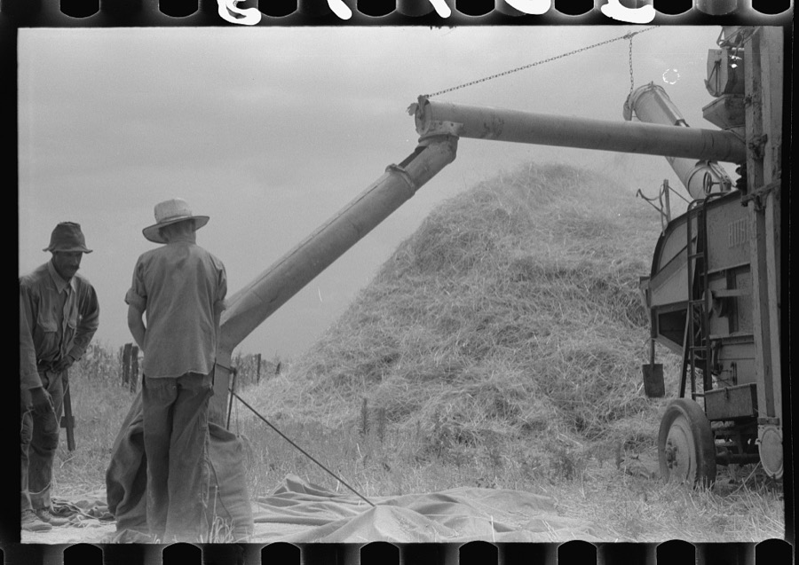 Threshing wheat on farm in Oldham County, Kentucky