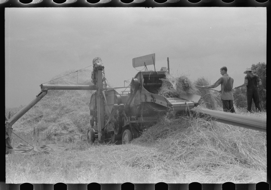 Threshing wheat on farm in Oldham County, Kentucky