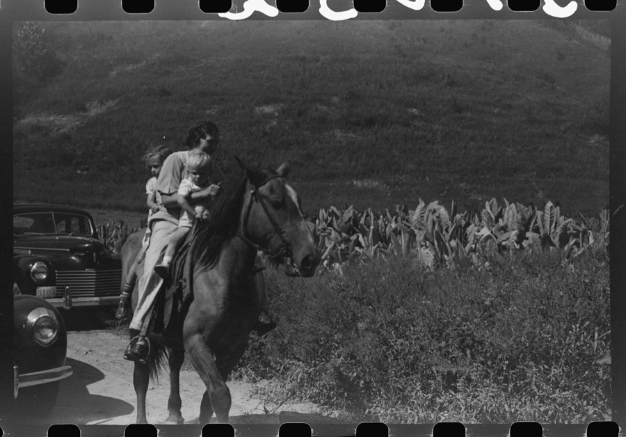 Relatives and friends of the family of the deceased going home from a memorial meeting in the mountains near Jackson, Kentucky. See general caption no. 1