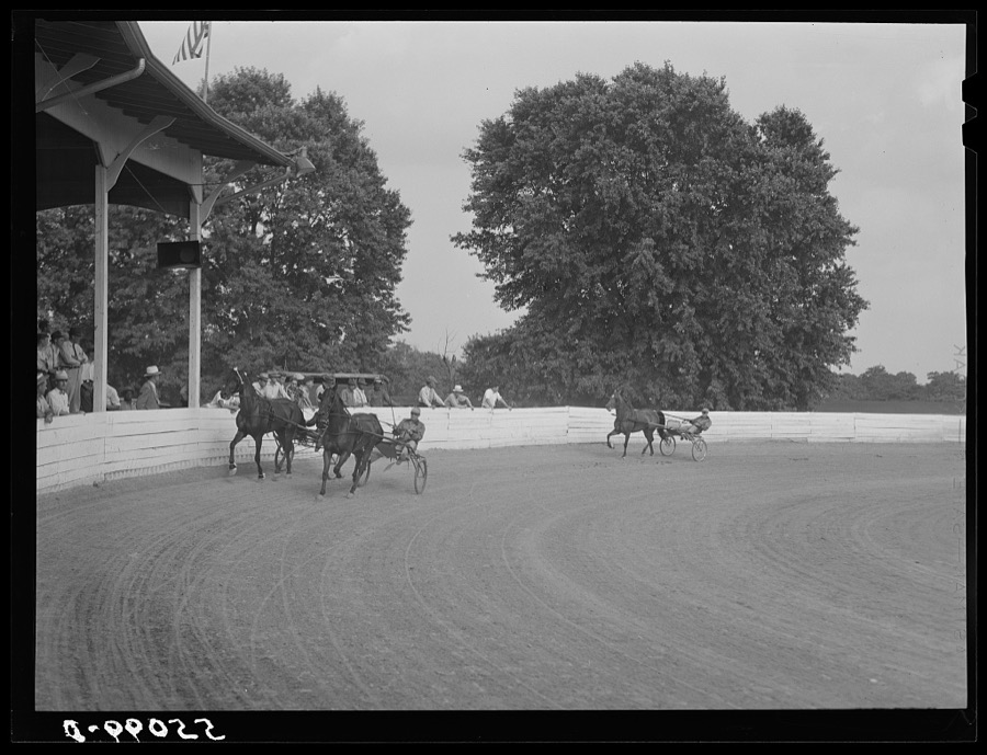 Sulky of harness races. Horse show, Shelby County fair, Shelbyville, Kentucky